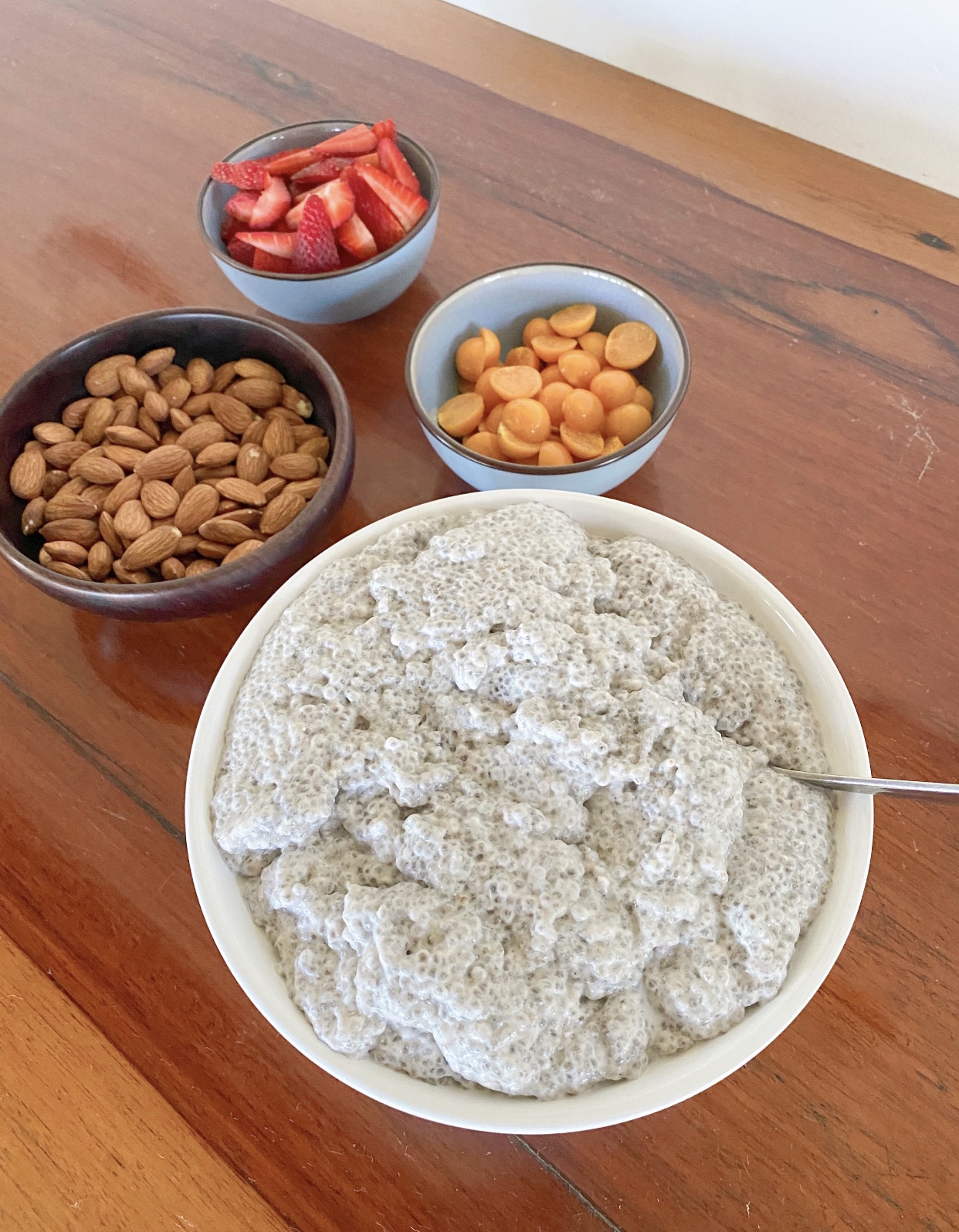 Simple Chia Seed Pudding | Shayna's Kitchen