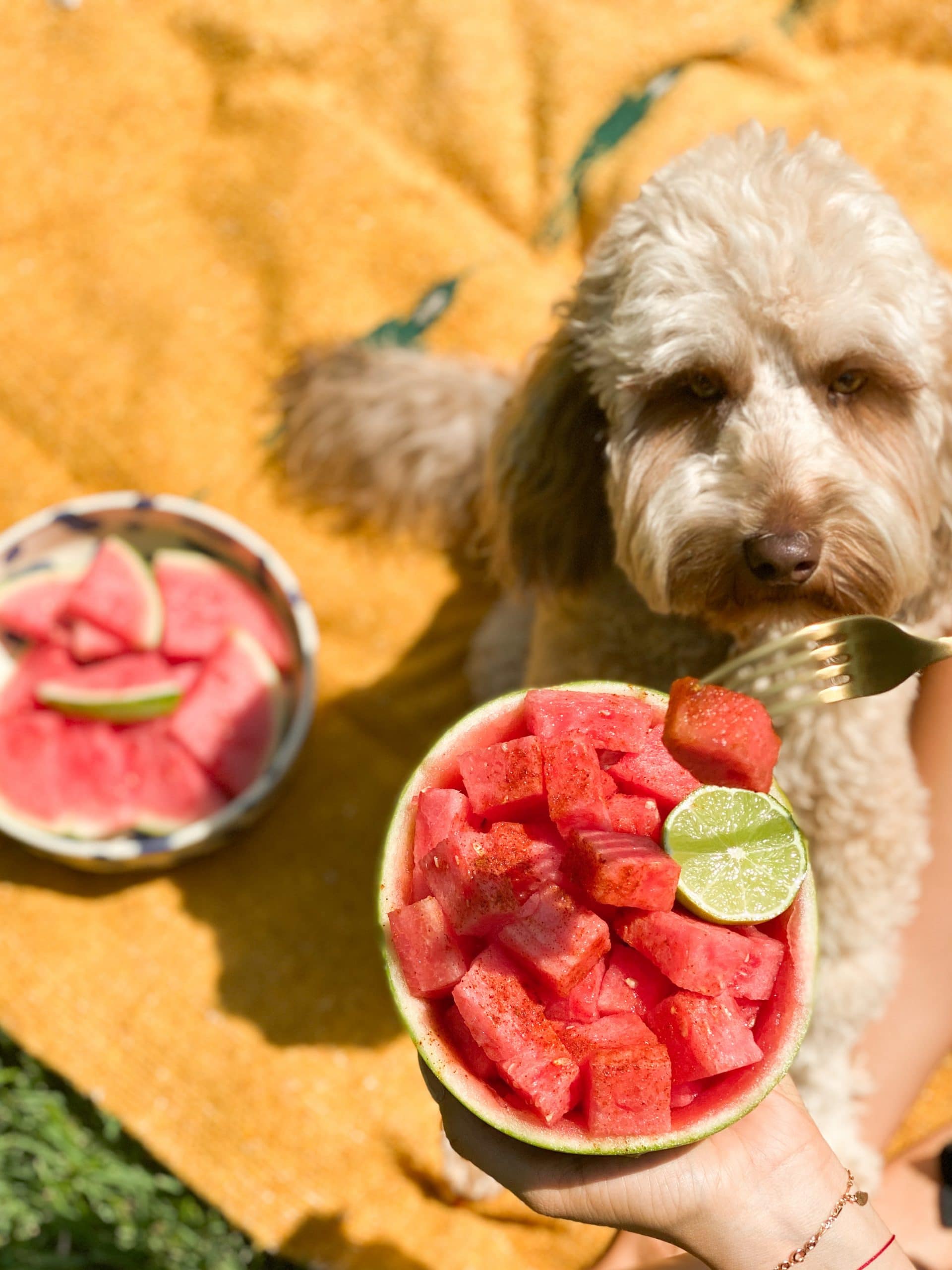 Spicy Watermelon Snack