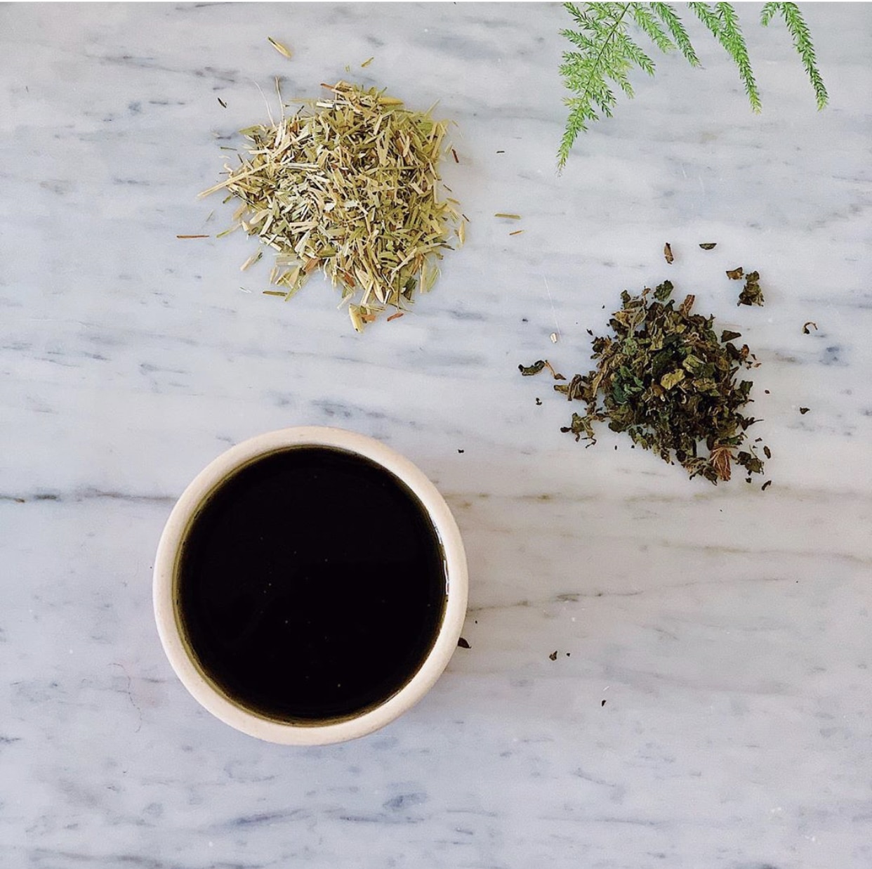 Oat Straw & Stinging Nettle Leaf Tea